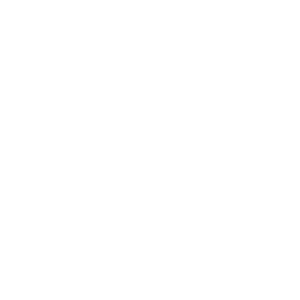 Logo client magasin Les canons