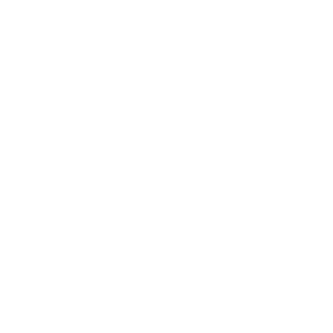 Logo client magasin Zago
